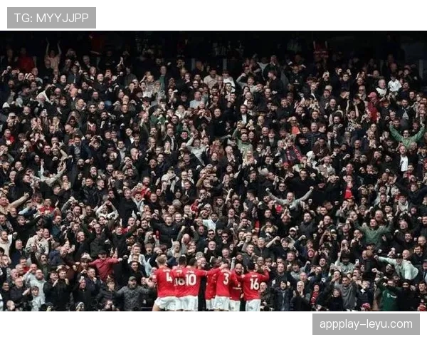 亚当·阿姆斯特朗闪耀英超,关键进球助球队状态回暖斩获重要胜利 亚当·阿姆斯特朗闪耀英超,关键进球助球队状态回暖斩获重要胜利