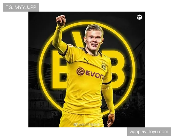 哈兰德持续发力，助力挪威成为国家队历史最佳射手表现稳健