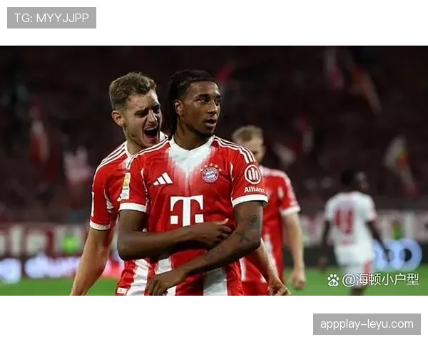 德甲球队新援盘点